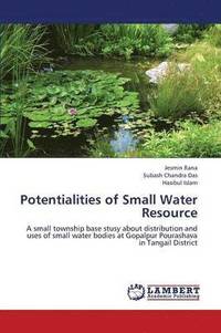 bokomslag Potentialities of Small Water Resource