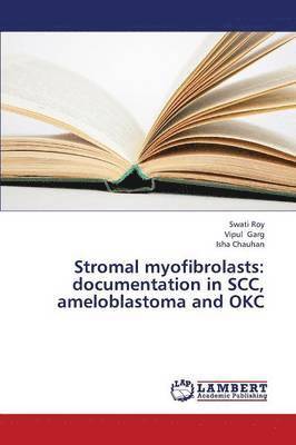 Stromal Myofibrolasts 1