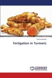 bokomslag Fertigation in Turmeric