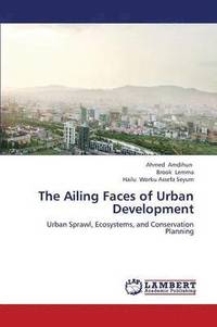 bokomslag The Ailing Faces of Urban Development