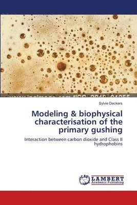 Modeling & biophysical characterisation of the primary gushing 1