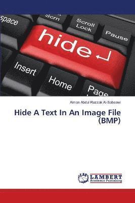Hide A Text In An Image File (BMP) 1