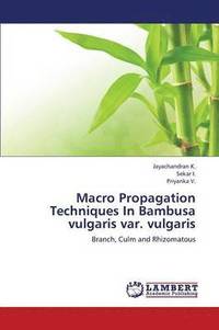 bokomslag Macro Propagation Techniques in Bambusa Vulgaris Var. Vulgaris