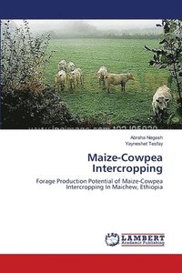 bokomslag Maize-Cowpea Intercropping