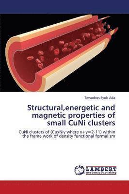Structural, Energetic and Magnetic Properties of Small Cuni Clusters 1