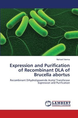 Expression and Purification of Recombinant DLA of Brucella abortus 1