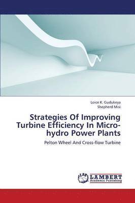 Strategies Of Improving Turbine Efficiency In Micro-hydro Power Plants 1
