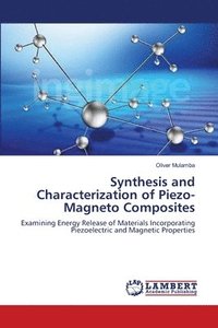 bokomslag Synthesis and Characterization of Piezo-Magneto Composites