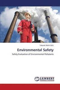 bokomslag Environmental Safety