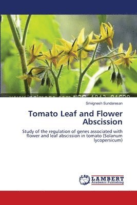 bokomslag Tomato Leaf and Flower Abscission