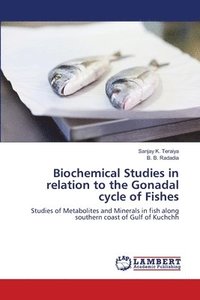 bokomslag Biochemical Studies in relation to the Gonadal cycle of Fishes