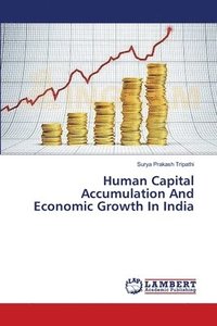 bokomslag Human Capital Accumulation And Economic Growth In India