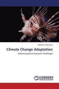bokomslag Climate Change Adaptation