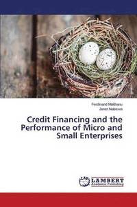 bokomslag Credit Financing and the Performance of Micro and Small Enterprises