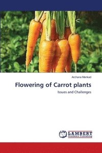 bokomslag Flowering of Carrot plants