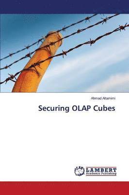 bokomslag Securing OLAP Cubes