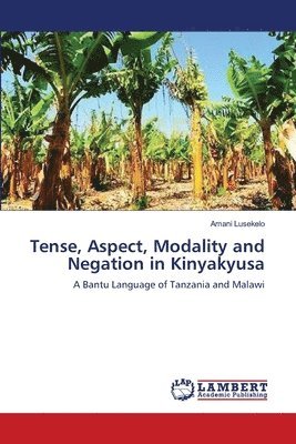 bokomslag Tense, Aspect, Modality and Negation in Kinyakyusa