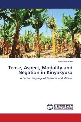 Tense, Aspect, Modality and Negation in Kinyakyusa 1