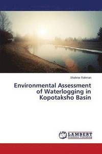 bokomslag Environmental Assessment of Waterlogging in Kopotaksho Basin
