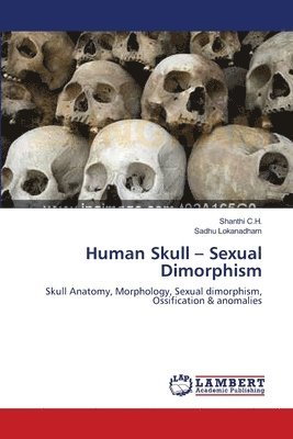 bokomslag Human Skull - Sexual Dimorphism