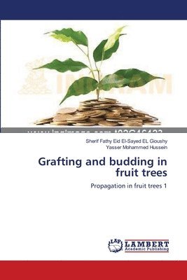 bokomslag Grafting and budding in fruit trees