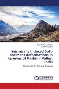 bokomslag Seismically Induced Soft-sediment deformations in Karewas of Kashmir Valley, India