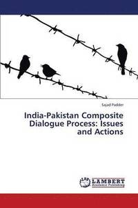 bokomslag India-Pakistan Composite Dialogue Process