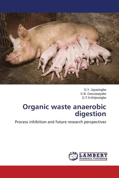 bokomslag Organic waste anaerobic digestion