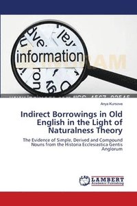 bokomslag Indirect Borrowings in Old English in the Light of Naturalness Theory