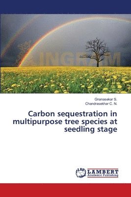bokomslag Carbon sequestration in multipurpose tree species at seedling stage