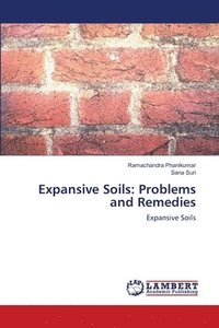 bokomslag Expansive Soils