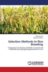 bokomslag Selection Methods in Rice Breeding