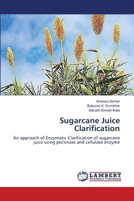 bokomslag Sugarcane Juice Clarification