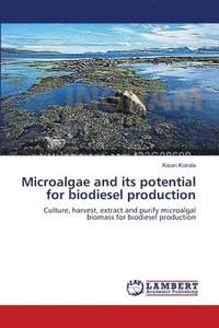 bokomslag Microalgae and its potential for biodiesel production
