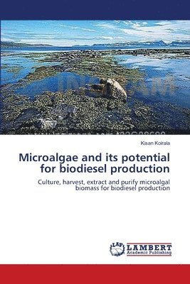 Microalgae and its potential for biodiesel production 1