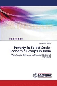 bokomslag Poverty in Select Socio-Economic Groups in India