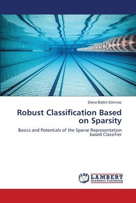 bokomslag Robust Classification Based on Sparsity