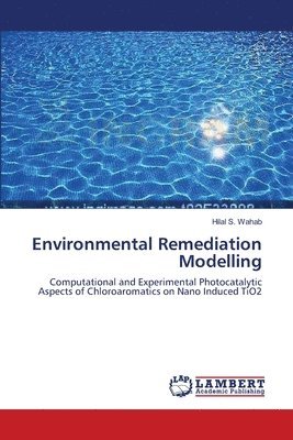 bokomslag Environmental Remediation Modelling