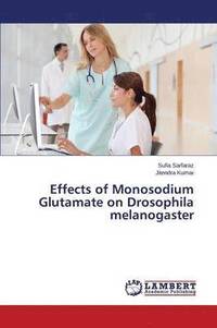 bokomslag Effects of Monosodium Glutamate on Drosophila Melanogaster
