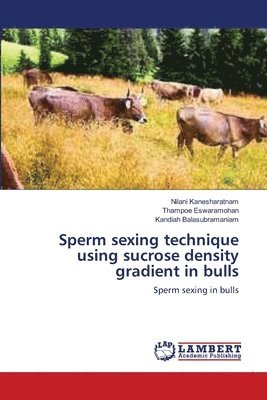 Sperm sexing technique using sucrose density gradient in bulls 1
