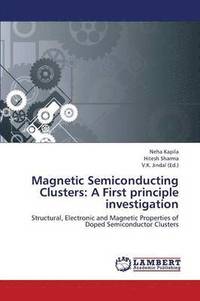 bokomslag Magnetic Semiconducting Clusters