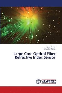bokomslag Large Core Optical Fiber Refractive Index Sensor