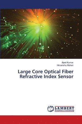 Large Core Optical Fiber Refractive Index Sensor 1