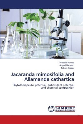Jacaranda mimosifolia and Allamanda cathartica 1
