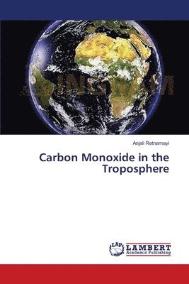 bokomslag Carbon Monoxide in the Troposphere