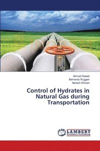 bokomslag Control of Hydrates in Natural Gas during Transportation