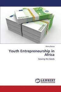 bokomslag Youth Entrepreneurship in Africa