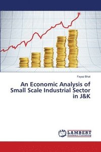 bokomslag An Economic Analysis of Small Scale Industrial Sector in J&K