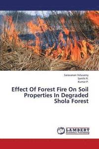 bokomslag Effect of Forest Fire on Soil Properties in Degraded Shola Forest