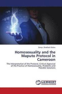 bokomslag Homosexuality and the Maputo Protocol in Cameroon